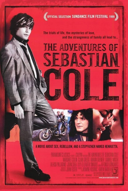 the movie poster: The Adventures of Sebastian Cole (1999)