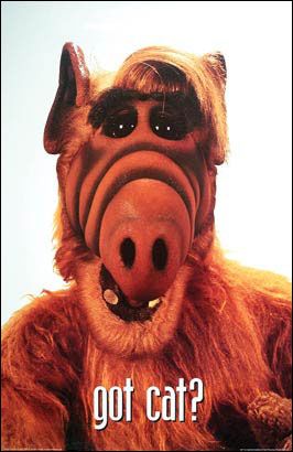 1000 piece jigsaw puzzle for tv poster: Alf, ver2