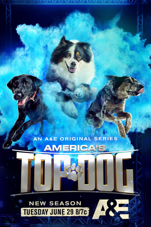 1000 piece jigsaw puzzle for tv poster: America's Top Dog