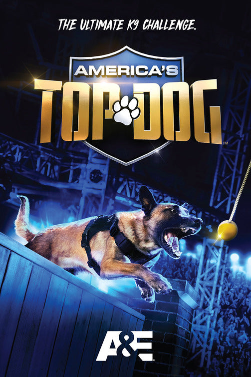 1000 piece jigsaw puzzle for tv poster: America's Top Dog, ver2