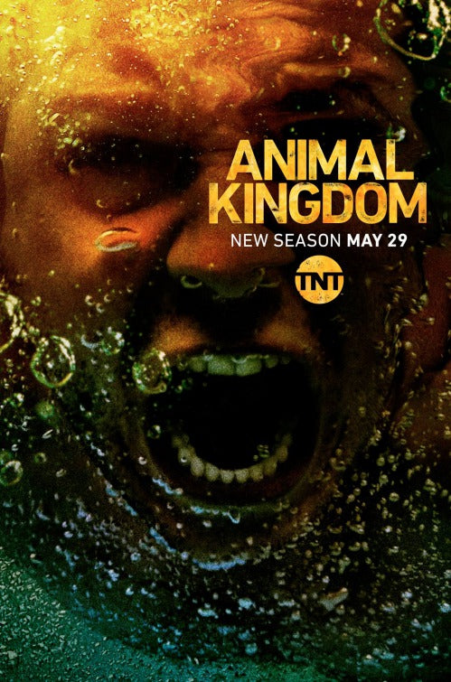 1000 piece jigsaw puzzle for tv poster: Animal Kingdom, ver3