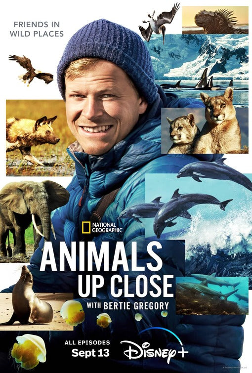 1000 piece jigsaw puzzle for tv poster: Animals Up Close with Bertie Gregory