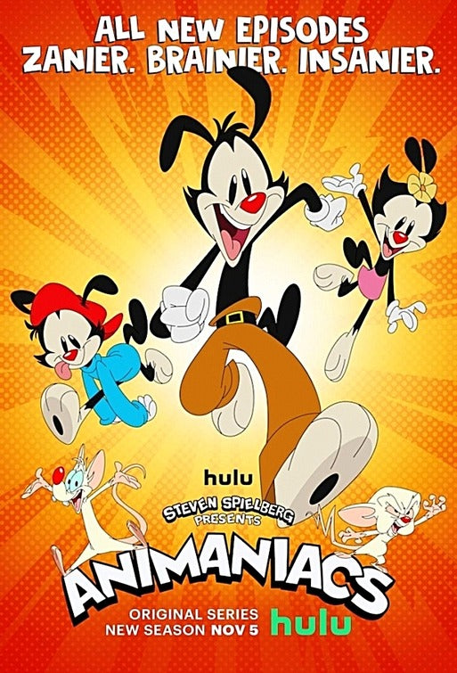 1000 piece jigsaw puzzle for tv poster: Animaniacs, ver2