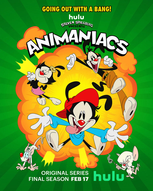 1000 piece jigsaw puzzle for tv poster: Animaniacs, ver3