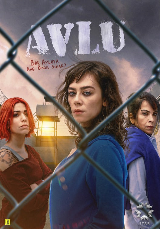 1000 piece jigsaw puzzle for tv poster: Avlu