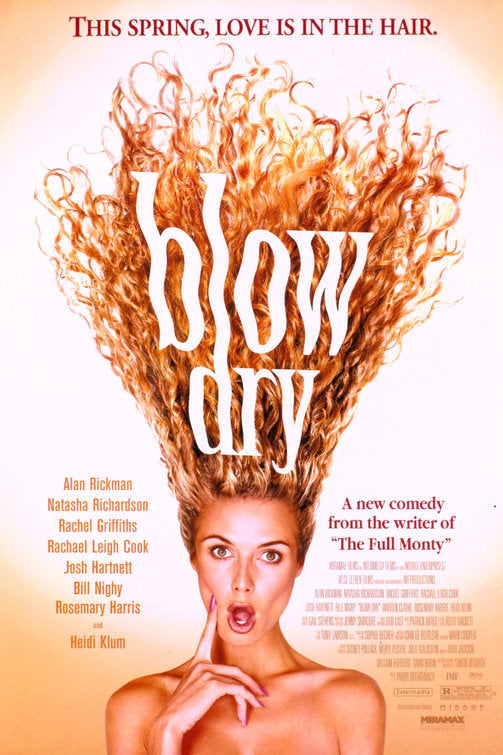 the movie poster: Blow Dry (2001)