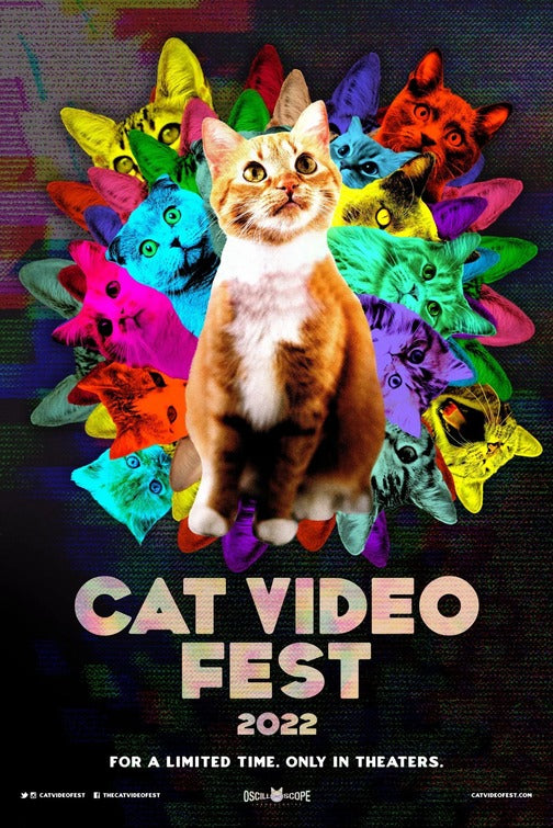 1000 piece jigsaw puzzle for the movie poster: CatVideoFest 2022 (2022)