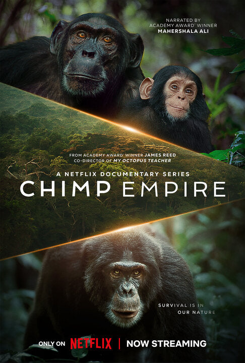 1000 piece jigsaw puzzle for tv poster: Chimp Empire, ver2