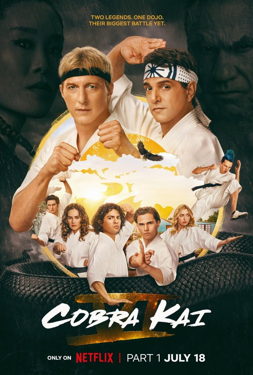 1000 piece jigsaw puzzle for tv poster: Cobra Kai, ver21