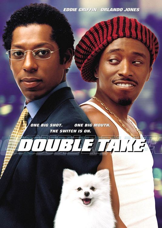 the movie poster: Double Take (2001)