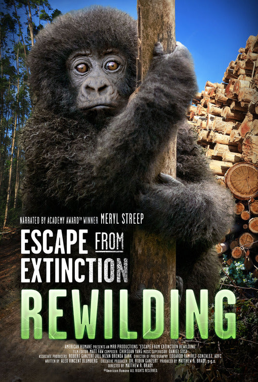 1000 piece jigsaw puzzle for the movie poster: Escape from Extinction Rewilding (2024)