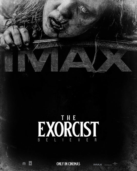 1000 piece jigsaw puzzle for the movie poster: The Exorcist: Believer (2023) ver6