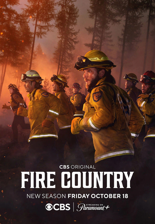 1000 piece jigsaw puzzle for tv poster: Fire Country, ver5