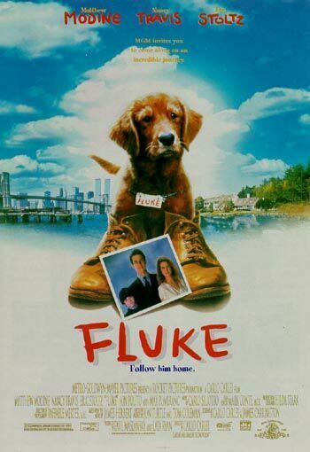 the movie poster: Fluke (1995)