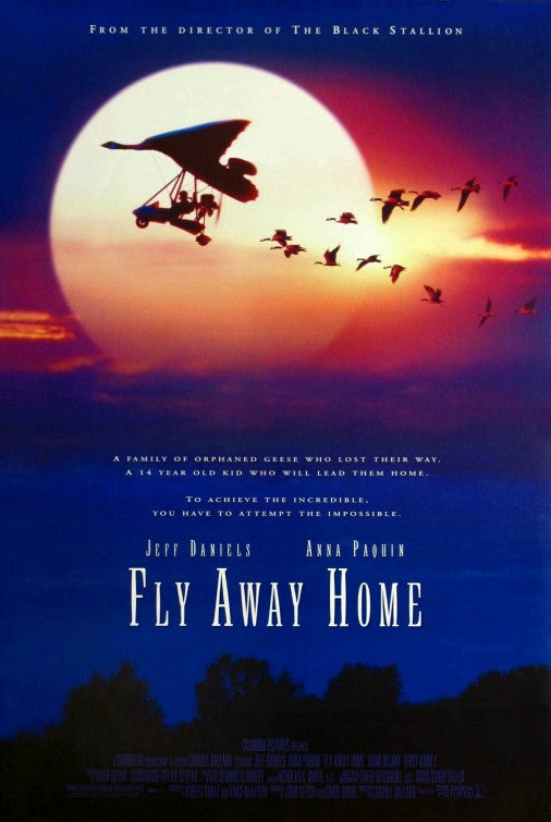 the movie poster: Fly Away Home (1996)