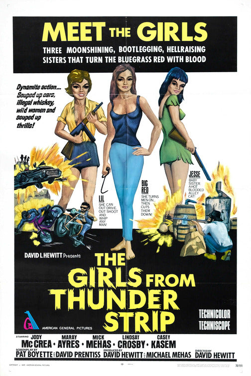 1000 piece jigsaw puzzle for the movie poster: The Girls from Thunder Strip (1970)