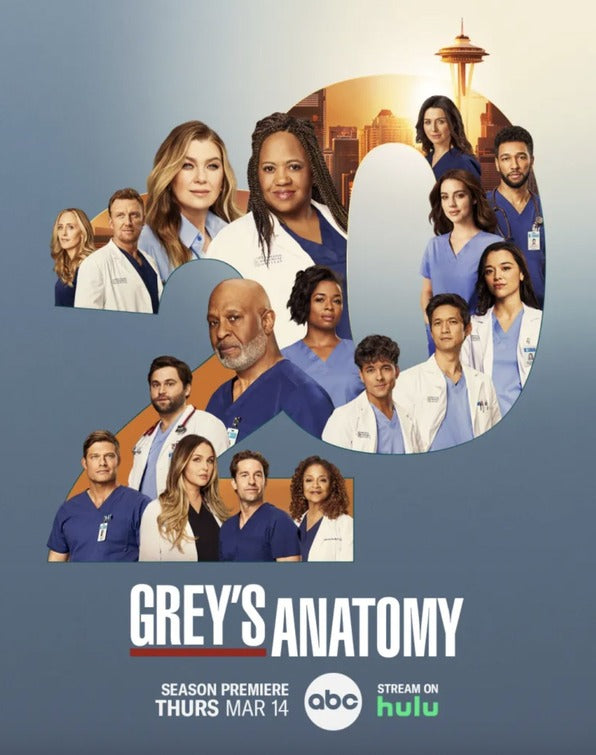 1000 piece jigsaw puzzle for tv poster: Grey's Anatomy, ver29