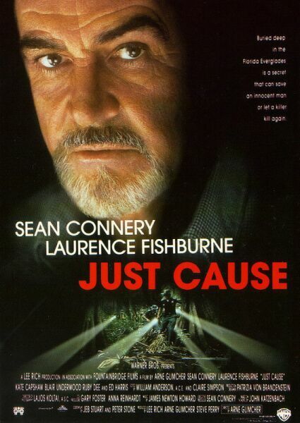 the movie poster: Just Cause (1995) ver2