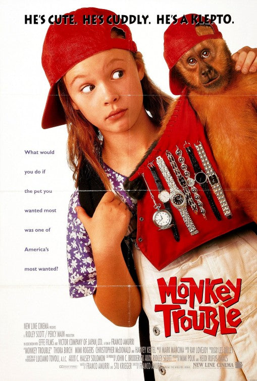 the movie poster: Monkey Trouble (1994)