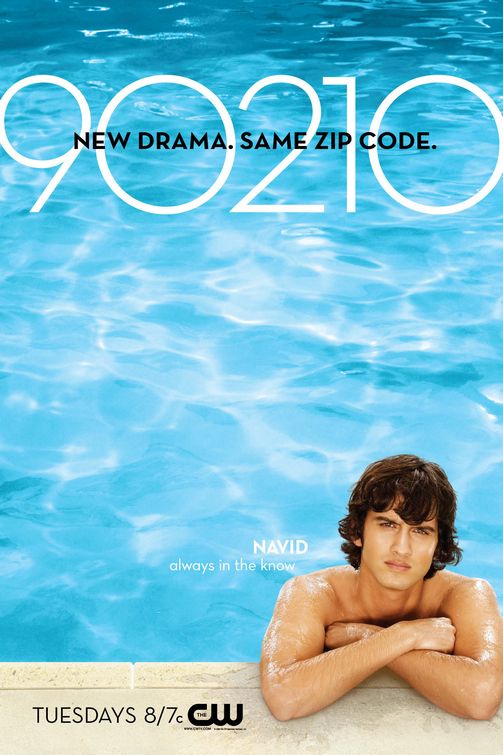 1000 piece jigsaw puzzle for tv poster: 90210, ver5