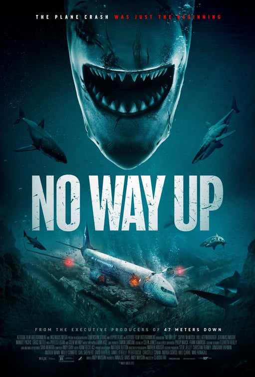 1000 piece jigsaw puzzle for the movie poster: No Way Up (2024)