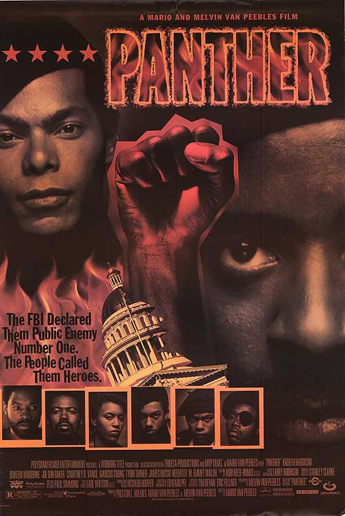 the movie poster: Panther (1995)