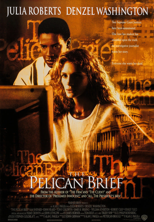 the movie poster: The Pelican Brief (1993) ver2