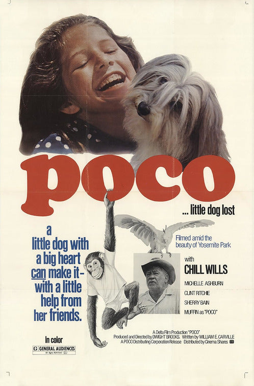 1000 piece jigsaw puzzle for the movie poster: Poco... Little Dog Lost (1977)