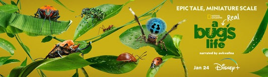 1000 piece jigsaw puzzle for tv poster: A Real Bug's Life, ver2