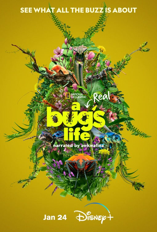 1000 piece jigsaw puzzle for tv poster: A Real Bug's Life, ver3