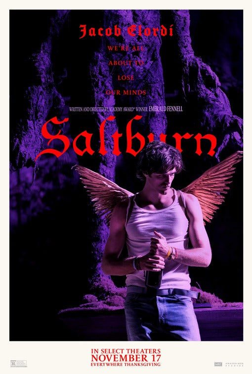 1000 piece jigsaw puzzle for the movie poster: Saltburn (2023) ver5