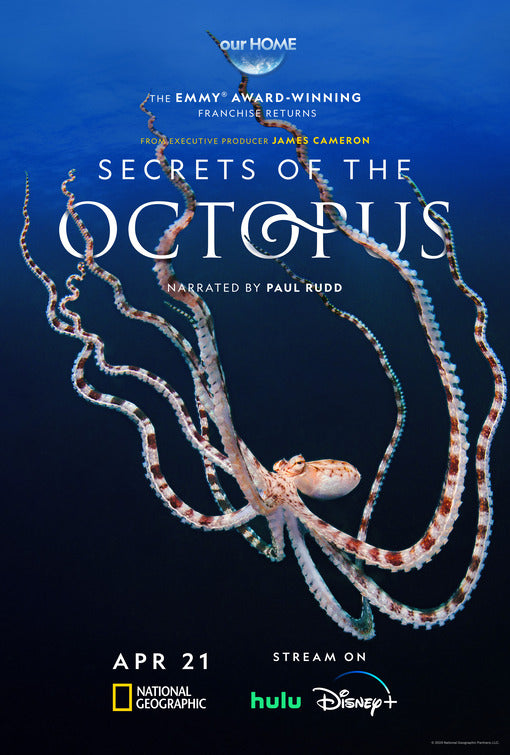 1000 piece jigsaw puzzle for tv poster: Secrets of the Octopus