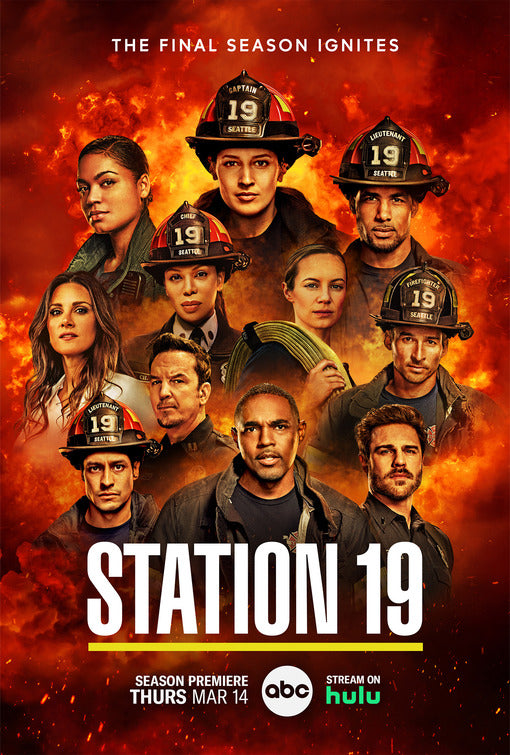 1000 piece jigsaw puzzle for tv poster: Station 19, ver7