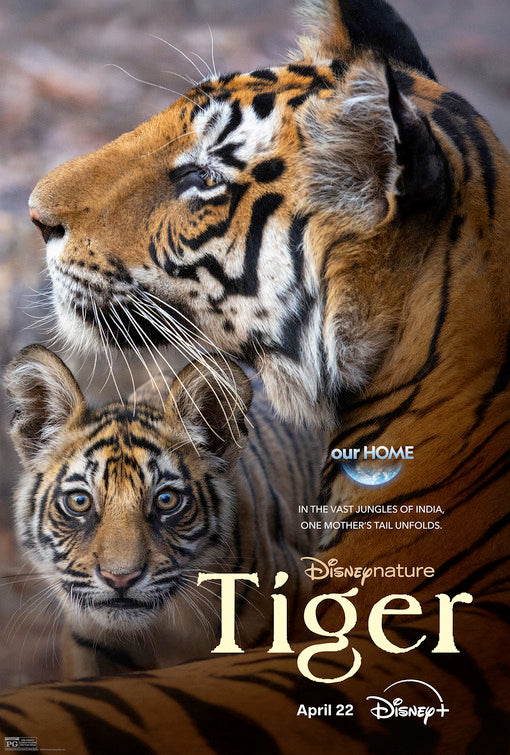 1000 piece jigsaw puzzle for the movie poster: Tiger (2024)