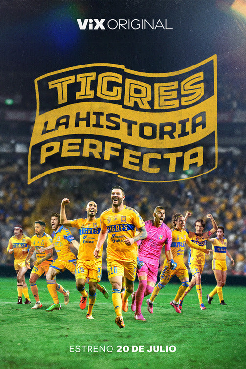 1000 piece jigsaw puzzle for tv poster: Tigres: La historia perfecta