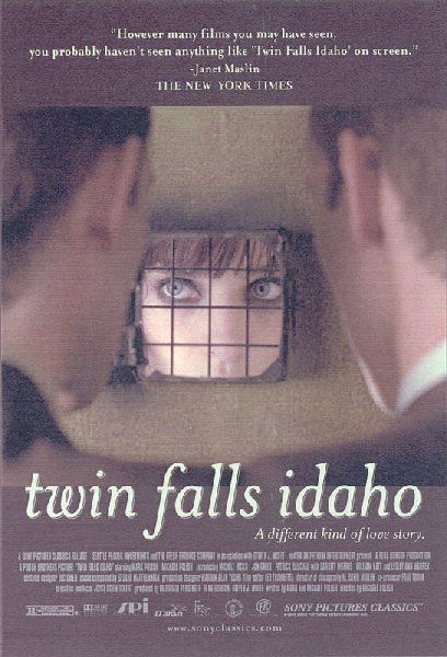 the movie poster: Twin Falls Idaho (1999)