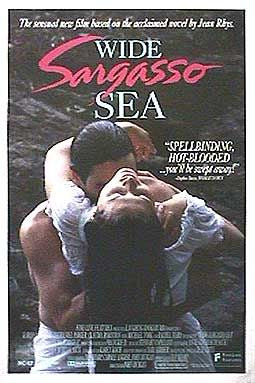 the movie poster: Wide Sargasso Sea (1993)