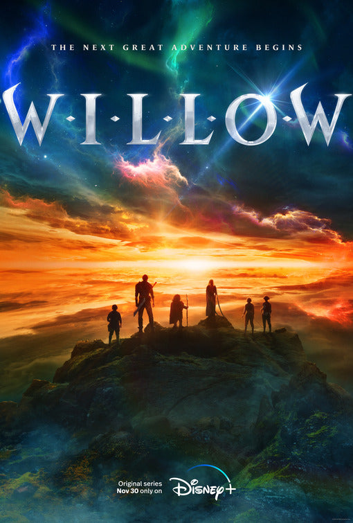 1000 piece jigsaw puzzle for tv poster: Willow