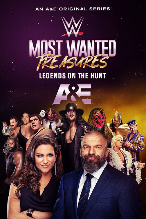 1000 piece jigsaw puzzle for tv poster: WWE's Most Wanted Treasures