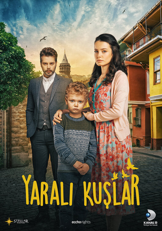 1000 piece jigsaw puzzle for tv poster: Yarali Kuslar