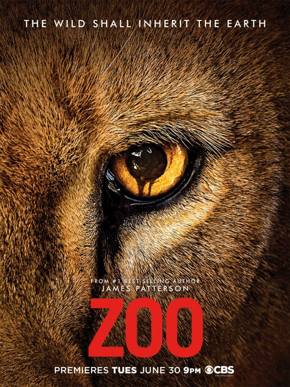 1000 piece jigsaw puzzle for tv poster: Zoo